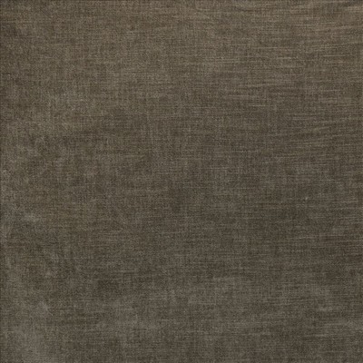 Kasmir WORTHY           DARK CHOCOLATE  